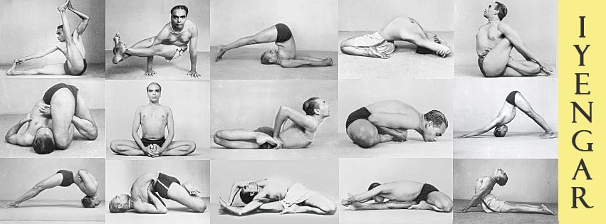 iyengarcolec