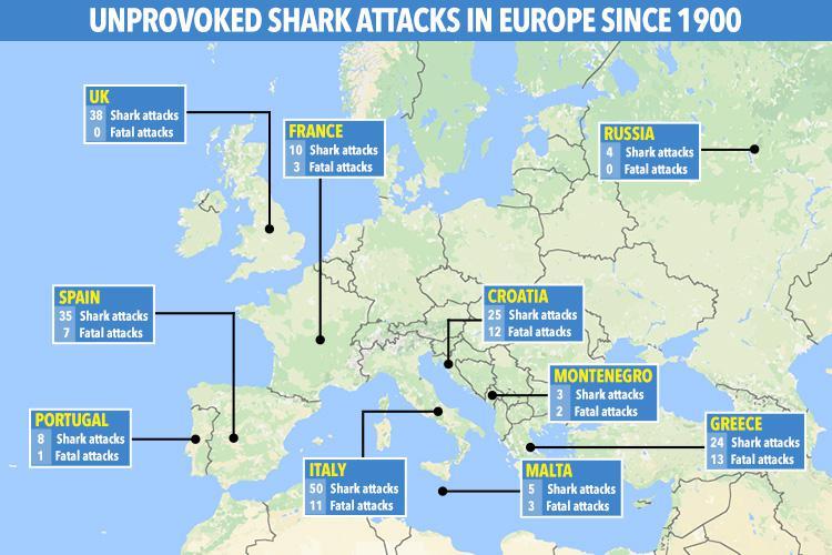 shark attacks europe