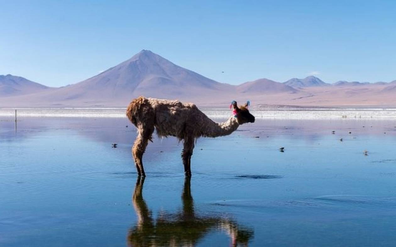 Αποτέλεσμα εικόνας για Βολιβία
