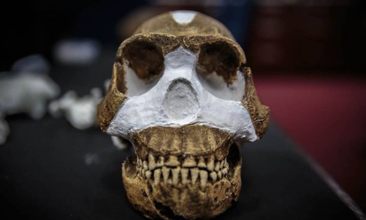 Homo naledi: Ανακάλυψαν νέο είδος ανθρώπου (photos)
