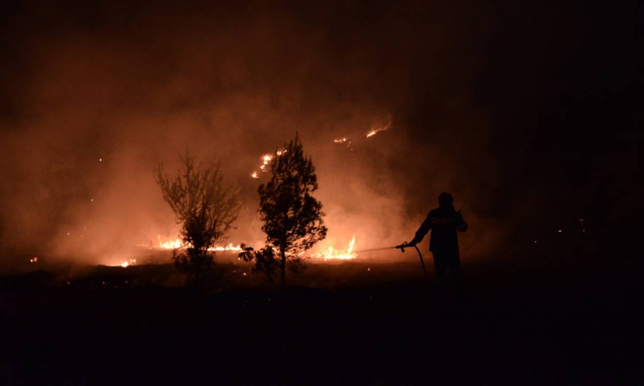 Ηλεία: Κόλαση πυρός στην Πηνεία - Μεγάλη φωτιά κοντά σε οικισμό (pics)