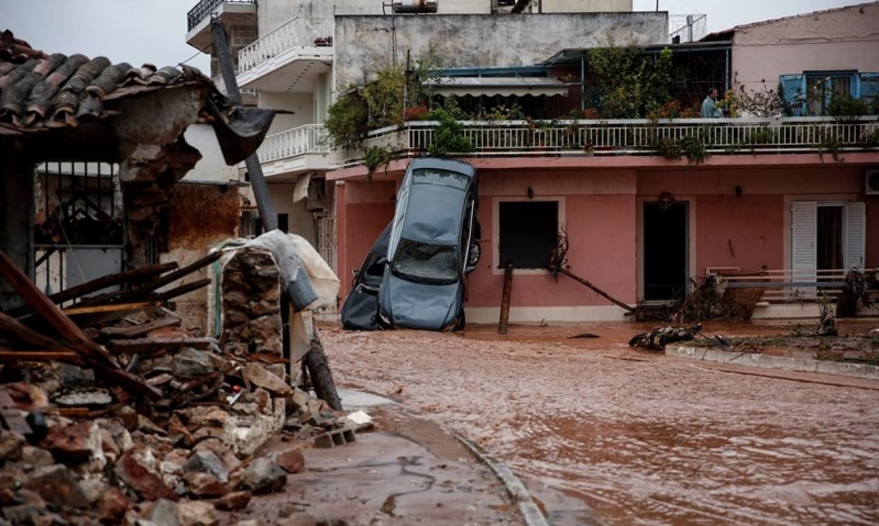 ÎÏÎ¿ÏÎ­Î»ÎµÏÎ¼Î± ÎµÎ¹ÎºÏÎ½Î±Ï Î³Î¹Î± Î¼Î¬Î½Î´ÏÎ± Î±ÏÏÎ¹ÎºÎ®Ï ÏÎ»Î·Î¼Î¼ÏÏÎµÏ