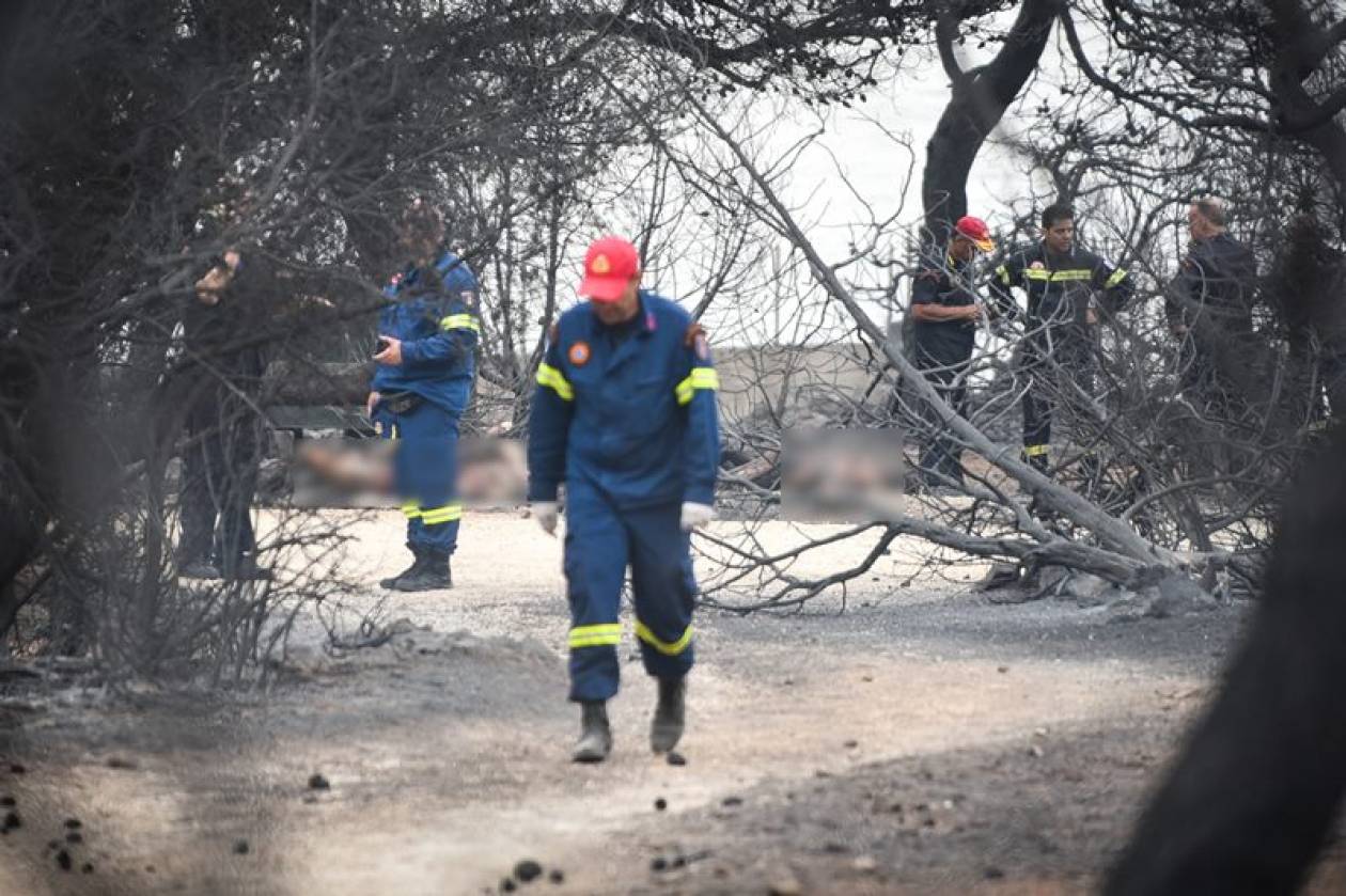 Φωτιά ΤΩΡΑ - Δήμαρχος Ραφήνας: «Πιστεύω ότι οι νεκροί από τις πυρκαγιές θα ξεπεράσουν τους 100»