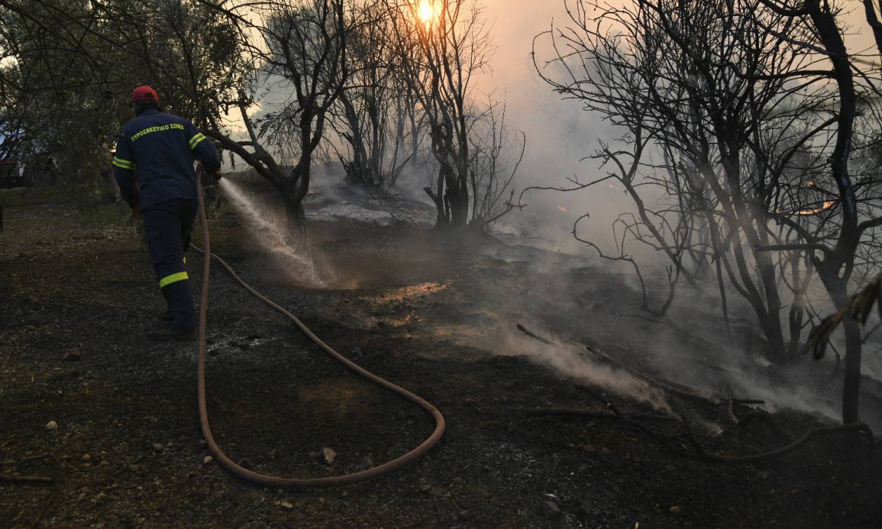 Φωτιά Εύβοια: Στο νοσοκομείο πυροσβέστης