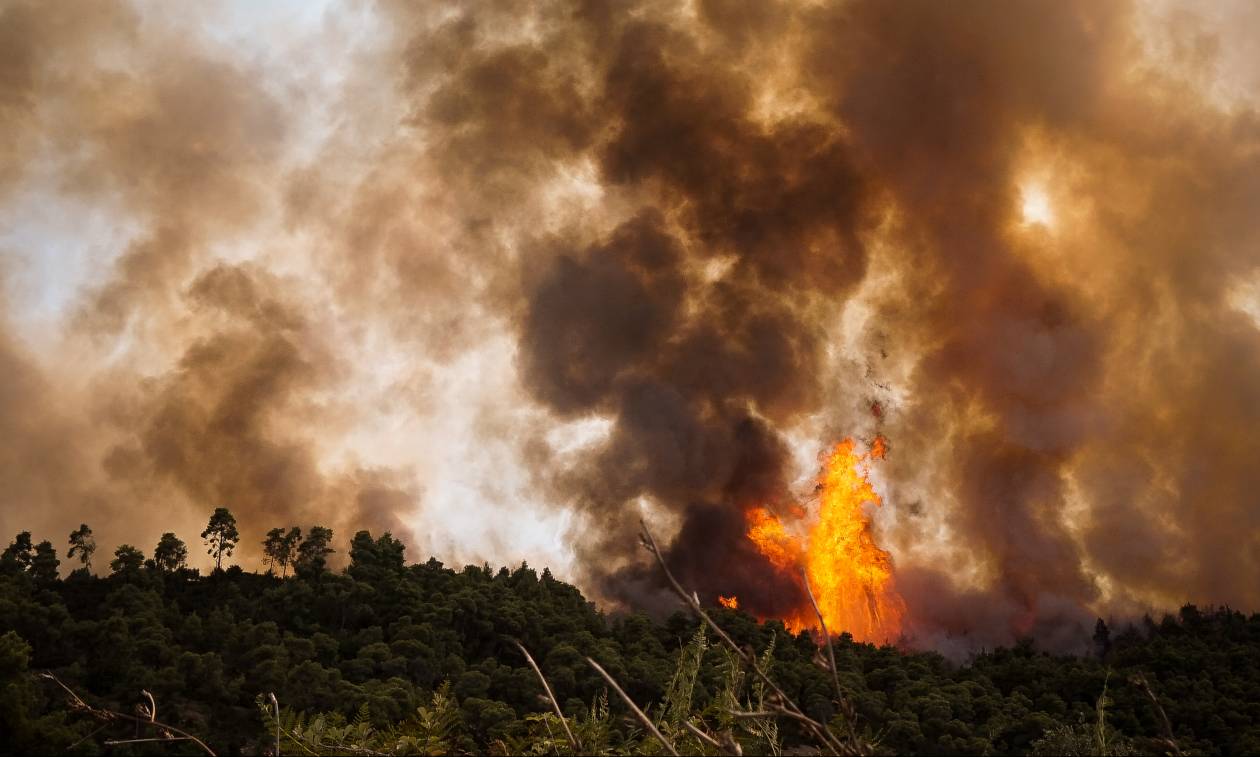 Δύο πυρκαγιές καίνε την Ηλεία: Νέα εστία φωτιάς απειλεί τα χωριά Ανάληψη και Γεράκι