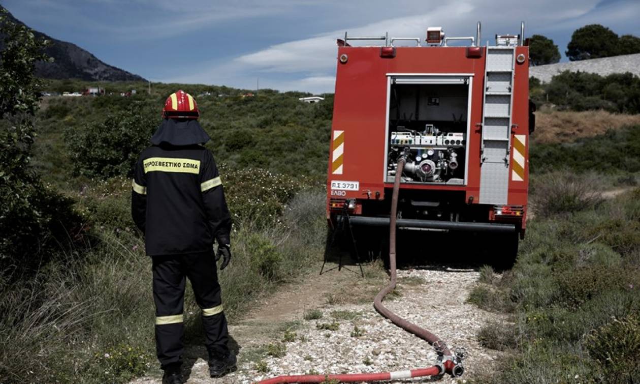 Î£ÏÎ½Î±Î³ÎµÏÎ¼ÏÏ Î³Î¹Î± ÏÏÏÎ¹Î¬ Î¤Î©Î¡Î ÏÏÎ· Î§Î±Î»ÎºÎ¹Î´Î¹ÎºÎ®: ÎÎºÎºÎµÎ½ÏÎ¸Î·ÎºÎµ ÏÎ±Î¹Î´Î¹ÎºÏÏ ÏÏÎ±Î¸Î¼ÏÏ