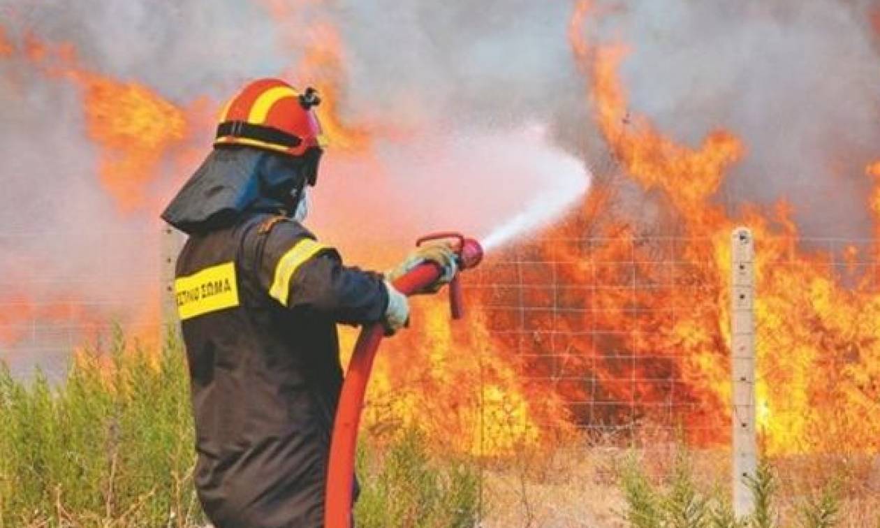 Î¤ÏÎ¯ÎºÎ±Î»Î±: ÎšÎµÏÎ±Ï…Î½ÏŒÏ‚ Î­ÎºÎ±ÏˆÎµ Î´ÎµÎºÎ¬Î´ÎµÏ‚ Ï€ÏÏŒÎ²Î±Ï„Î±